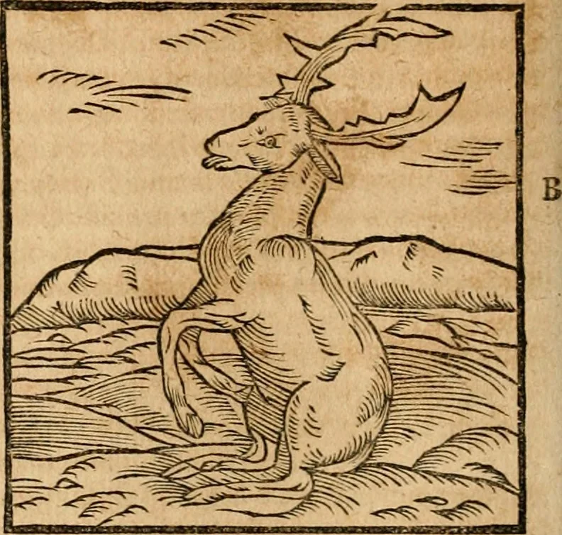 An illustration from Ioannis Pierii Valeriani Bellvnensis Hieroglyphica, sive, De sacris Ægyptiorvm aliarumq gentium literis commentariorum libri LVIII : cum duobus alijs ab eruditissimo viro annexis : accesserunt loco auctarij, Hieroglyphicorum collectanea, ex veteribus & recentioribus auctoribus descripta, & in sex libros digesta : Horapollinis item hieroglyphicorum libri duo, ex postrema Dauidis Hschelij correctione : prætereà eiusdem Pierij declamatiuncula pro barbis sacerdotum, & reliqua opuscula siue poemata omnia, 1614, leaf 149