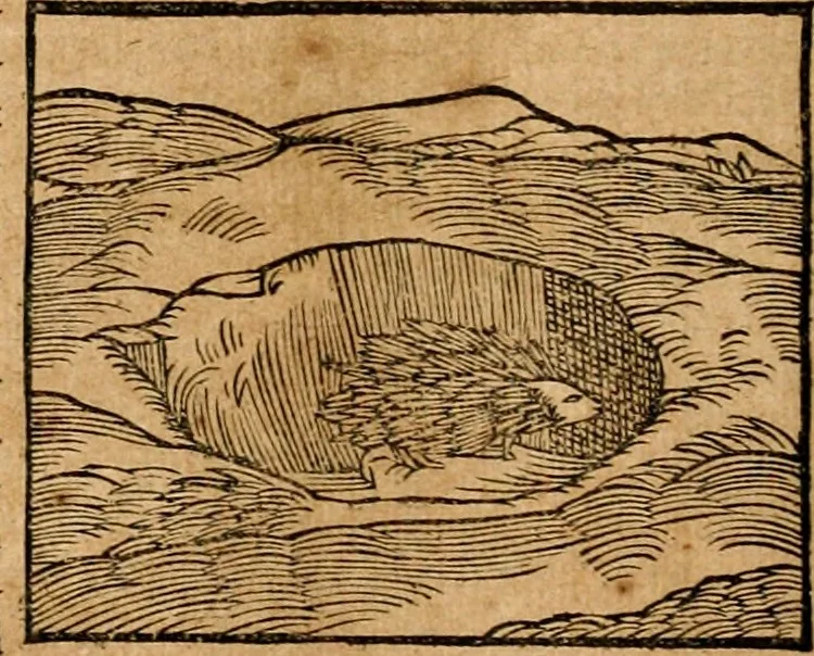 An illustration from Ioannis Pierii Valeriani Bellvnensis Hieroglyphica, sive, De sacris Ægyptiorvm aliarumq gentium literis commentariorum libri LVIII : cum duobus alijs ab eruditissimo viro annexis : accesserunt loco auctarij, Hieroglyphicorum collectanea, ex veteribus & recentioribus auctoribus descripta, & in sex libros digesta : Horapollinis item hieroglyphicorum libri duo, ex postrema Dauidis Hschelij correctione : prætereà eiusdem Pierij declamatiuncula pro barbis sacerdotum, & reliqua opuscula siue poemata omnia, 1614, leaf 159