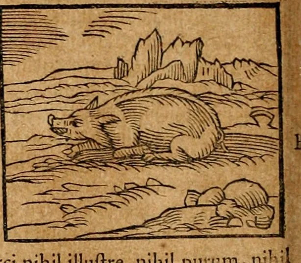 An illustration from Ioannis Pierii Valeriani Bellvnensis Hieroglyphica, sive, De sacris Ægyptiorvm aliarumq gentium literis commentariorum libri LVIII : cum duobus alijs ab eruditissimo viro annexis : accesserunt loco auctarij, Hieroglyphicorum collectanea, ex veteribus & recentioribus auctoribus descripta, & in sex libros digesta : Horapollinis item hieroglyphicorum libri duo, ex postrema Dauidis Hschelij correctione : prætereà eiusdem Pierij declamatiuncula pro barbis sacerdotum, & reliqua opuscula siue poemata omnia, 1614, leaf 163