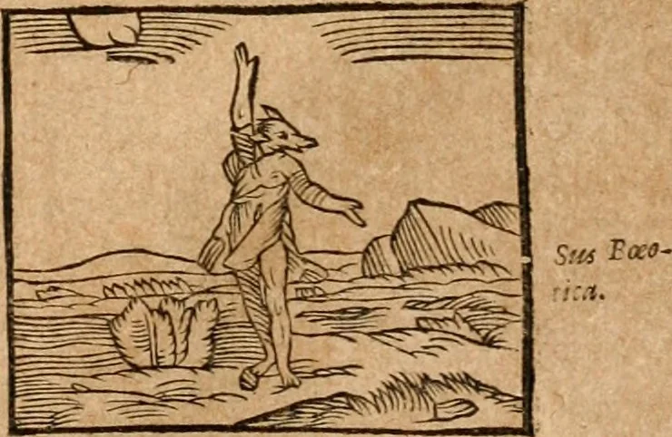An illustration from Ioannis Pierii Valeriani Bellvnensis Hieroglyphica, sive, De sacris Ægyptiorvm aliarumq gentium literis commentariorum libri LVIII : cum duobus alijs ab eruditissimo viro annexis : accesserunt loco auctarij, Hieroglyphicorum collectanea, ex veteribus & recentioribus auctoribus descripta, & in sex libros digesta : Horapollinis item hieroglyphicorum libri duo, ex postrema Dauidis Hschelij correctione : prætereà eiusdem Pierij declamatiuncula pro barbis sacerdotum, & reliqua opuscula siue poemata omnia, 1614, leaf 166