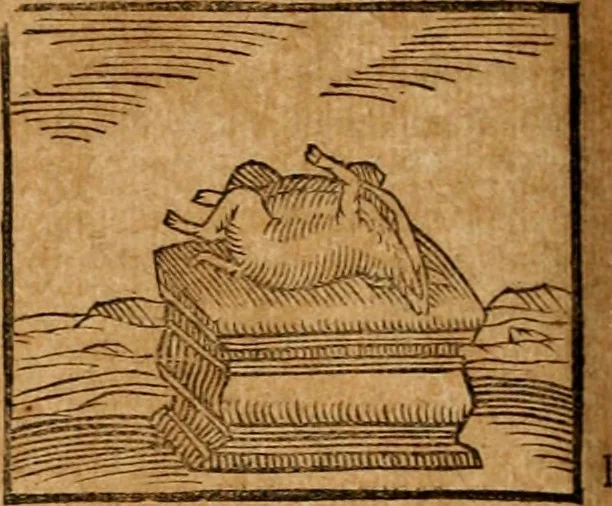 An illustration from Ioannis Pierii Valeriani Bellvnensis Hieroglyphica, sive, De sacris Ægyptiorvm aliarumq gentium literis commentariorum libri LVIII : cum duobus alijs ab eruditissimo viro annexis : accesserunt loco auctarij, Hieroglyphicorum collectanea, ex veteribus & recentioribus auctoribus descripta, & in sex libros digesta : Horapollinis item hieroglyphicorum libri duo, ex postrema Dauidis Hschelij correctione : prætereà eiusdem Pierij declamatiuncula pro barbis sacerdotum, & reliqua opuscula siue poemata omnia, 1614, leaf 171