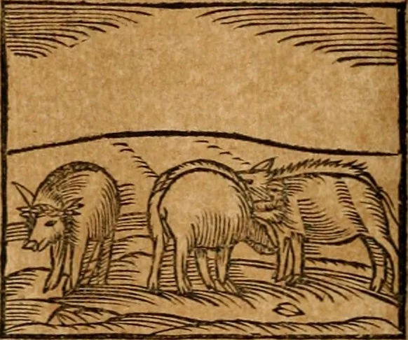 An illustration from Ioannis Pierii Valeriani Bellvnensis Hieroglyphica, sive, De sacris Ægyptiorvm aliarumq gentium literis commentariorum libri LVIII : cum duobus alijs ab eruditissimo viro annexis : accesserunt loco auctarij, Hieroglyphicorum collectanea, ex veteribus & recentioribus auctoribus descripta, & in sex libros digesta : Horapollinis item hieroglyphicorum libri duo, ex postrema Dauidis Hschelij correctione : prætereà eiusdem Pierij declamatiuncula pro barbis sacerdotum, & reliqua opuscula siue poemata omnia, 1614, leaf 171