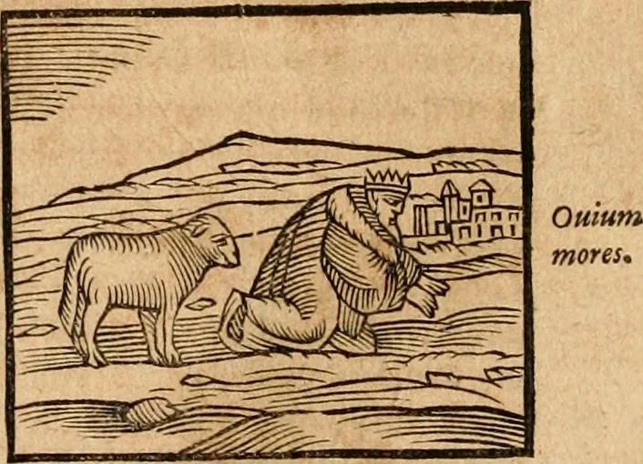 An illustration from Ioannis Pierii Valeriani Bellvnensis Hieroglyphica, sive, De sacris Ægyptiorvm aliarumq gentium literis commentariorum libri LVIII : cum duobus alijs ab eruditissimo viro annexis : accesserunt loco auctarij, Hieroglyphicorum collectanea, ex veteribus & recentioribus auctoribus descripta, & in sex libros digesta : Horapollinis item hieroglyphicorum libri duo, ex postrema Dauidis Hschelij correctione : prætereà eiusdem Pierij declamatiuncula pro barbis sacerdotum, & reliqua opuscula siue poemata omnia, 1614, leaf 180