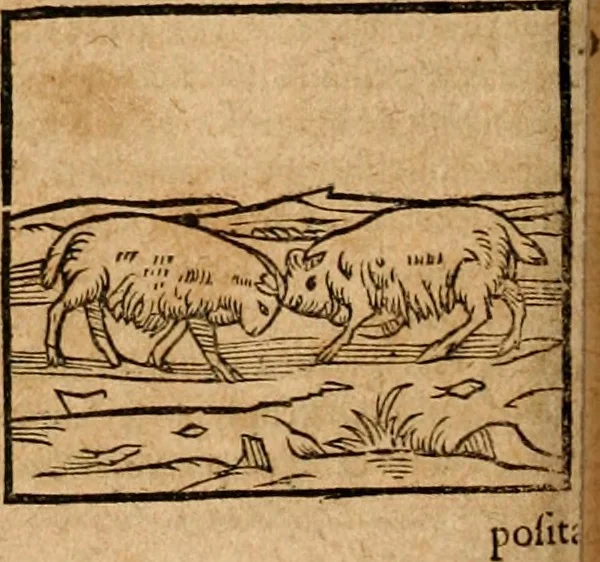 An illustration from Ioannis Pierii Valeriani Bellvnensis Hieroglyphica, sive, De sacris Ægyptiorvm aliarumq gentium literis commentariorum libri LVIII : cum duobus alijs ab eruditissimo viro annexis : accesserunt loco auctarij, Hieroglyphicorum collectanea, ex veteribus & recentioribus auctoribus descripta, & in sex libros digesta : Horapollinis item hieroglyphicorum libri duo, ex postrema Dauidis Hschelij correctione : prætereà eiusdem Pierij declamatiuncula pro barbis sacerdotum, & reliqua opuscula siue poemata omnia, 1614, leaf 185