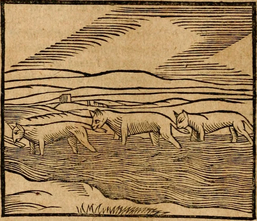 An illustration from Ioannis Pierii Valeriani Bellvnensis Hieroglyphica, sive, De sacris Ægyptiorvm aliarumq gentium literis commentariorum libri LVIII : cum duobus alijs ab eruditissimo viro annexis : accesserunt loco auctarij, Hieroglyphicorum collectanea, ex veteribus & recentioribus auctoribus descripta, & in sex libros digesta : Horapollinis item hieroglyphicorum libri duo, ex postrema Dauidis Hschelij correctione : prætereà eiusdem Pierij declamatiuncula pro barbis sacerdotum, & reliqua opuscula siue poemata omnia, 1614, leaf 189