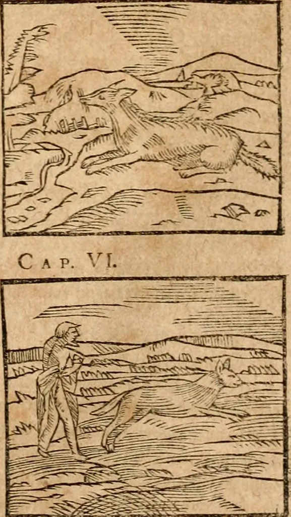 An illustration from Ioannis Pierii Valeriani Bellvnensis Hieroglyphica, sive, De sacris Ægyptiorvm aliarumq gentium literis commentariorum libri LVIII : cum duobus alijs ab eruditissimo viro annexis : accesserunt loco auctarij, Hieroglyphicorum collectanea, ex veteribus & recentioribus auctoribus descripta, & in sex libros digesta : Horapollinis item hieroglyphicorum libri duo, ex postrema Dauidis Hschelij correctione : prætereà eiusdem Pierij declamatiuncula pro barbis sacerdotum, & reliqua opuscula siue poemata omnia, 1614, leaf 190