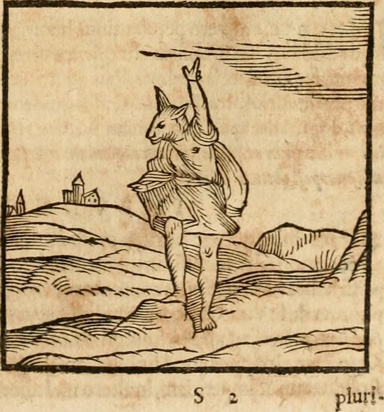 An illustration from Ioannis Pierii Valeriani Bellvnensis Hieroglyphica, sive, De sacris Ægyptiorvm aliarumq gentium literis commentariorum libri LVIII : cum duobus alijs ab eruditissimo viro annexis : accesserunt loco auctarij, Hieroglyphicorum collectanea, ex veteribus & recentioribus auctoribus descripta, & in sex libros digesta : Horapollinis item hieroglyphicorum libri duo, ex postrema Dauidis Hschelij correctione : prætereà eiusdem Pierij declamatiuncula pro barbis sacerdotum, & reliqua opuscula siue poemata omnia, 1614, leaf 202
