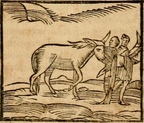 An illustration from Ioannis Pierii Valeriani Bellvnensis Hieroglyphica, sive, De sacris Ægyptiorvm aliarumq gentium literis commentariorum libri LVIII : cum duobus alijs ab eruditissimo viro annexis : accesserunt loco auctarij, Hieroglyphicorum collectanea, ex veteribus & recentioribus auctoribus descripta, & in sex libros digesta : Horapollinis item hieroglyphicorum libri duo, ex postrema Dauidis Hschelij correctione : prætereà eiusdem Pierij declamatiuncula pro barbis sacerdotum, & reliqua opuscula siue poemata omnia, 1614, leaf 205