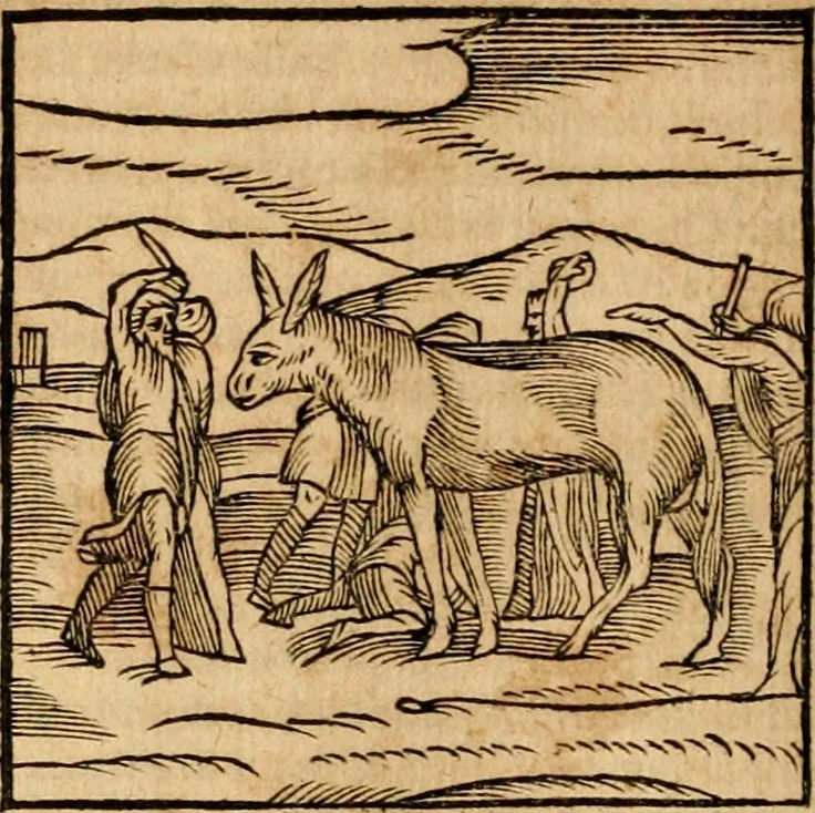 An illustration from Ioannis Pierii Valeriani Bellvnensis Hieroglyphica, sive, De sacris Ægyptiorvm aliarumq gentium literis commentariorum libri LVIII : cum duobus alijs ab eruditissimo viro annexis : accesserunt loco auctarij, Hieroglyphicorum collectanea, ex veteribus & recentioribus auctoribus descripta, & in sex libros digesta : Horapollinis item hieroglyphicorum libri duo, ex postrema Dauidis Hschelij correctione : prætereà eiusdem Pierij declamatiuncula pro barbis sacerdotum, & reliqua opuscula siue poemata omnia, 1614, leaf 207