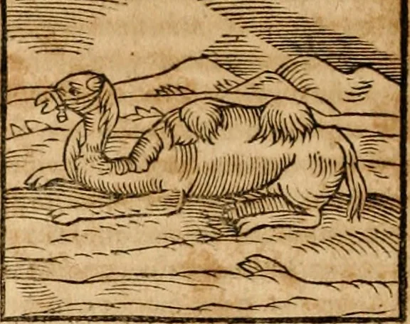 An illustration from Ioannis Pierii Valeriani Bellvnensis Hieroglyphica, sive, De sacris Ægyptiorvm aliarumq gentium literis commentariorum libri LVIII : cum duobus alijs ab eruditissimo viro annexis : accesserunt loco auctarij, Hieroglyphicorum collectanea, ex veteribus & recentioribus auctoribus descripta, & in sex libros digesta : Horapollinis item hieroglyphicorum libri duo, ex postrema Dauidis Hschelij correctione : prætereà eiusdem Pierij declamatiuncula pro barbis sacerdotum, & reliqua opuscula siue poemata omnia, 1614, leaf 213