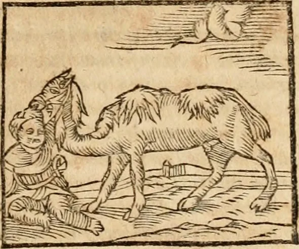 An illustration from Ioannis Pierii Valeriani Bellvnensis Hieroglyphica, sive, De sacris Ægyptiorvm aliarumq gentium literis commentariorum libri LVIII : cum duobus alijs ab eruditissimo viro annexis : accesserunt loco auctarij, Hieroglyphicorum collectanea, ex veteribus & recentioribus auctoribus descripta, & in sex libros digesta : Horapollinis item hieroglyphicorum libri duo, ex postrema Dauidis Hschelij correctione : prætereà eiusdem Pierij declamatiuncula pro barbis sacerdotum, & reliqua opuscula siue poemata omnia, 1614, leaf 214