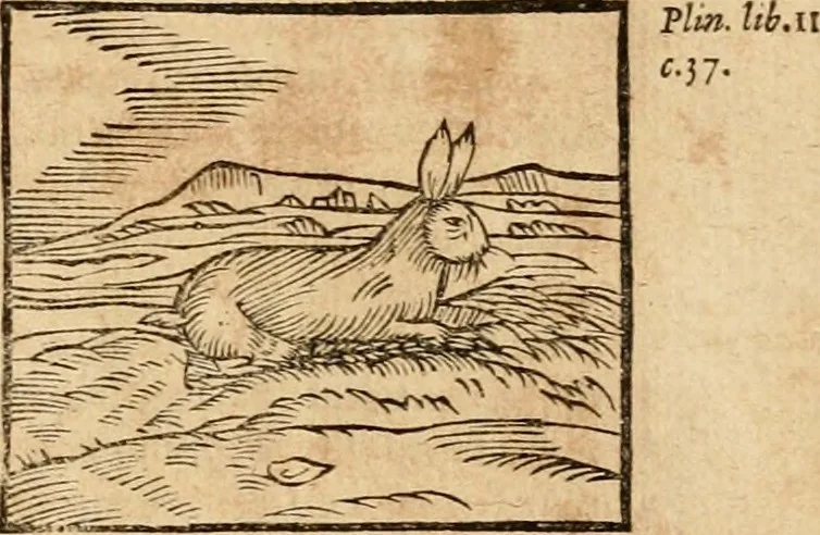 An illustration from Ioannis Pierii Valeriani Bellvnensis Hieroglyphica, sive, De sacris Ægyptiorvm aliarumq gentium literis commentariorum libri LVIII : cum duobus alijs ab eruditissimo viro annexis : accesserunt loco auctarij, Hieroglyphicorum collectanea, ex veteribus & recentioribus auctoribus descripta, & in sex libros digesta : Horapollinis item hieroglyphicorum libri duo, ex postrema Dauidis Hschelij correctione : prætereà eiusdem Pierij declamatiuncula pro barbis sacerdotum, & reliqua opuscula siue poemata omnia, 1614, leaf 216