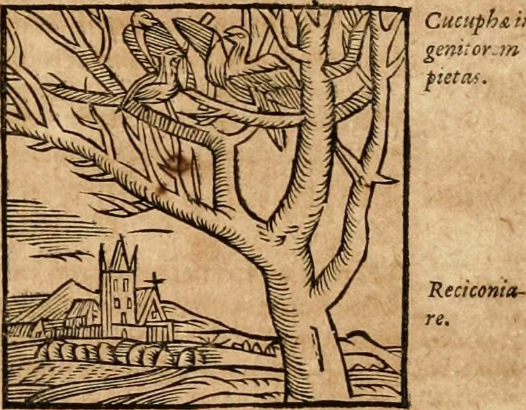 An illustration from Ioannis Pierii Valeriani Bellvnensis Hieroglyphica, sive, De sacris Ægyptiorvm aliarumq gentium literis commentariorum libri LVIII : cum duobus alijs ab eruditissimo viro annexis : accesserunt loco auctarij, Hieroglyphicorum collectanea, ex veteribus & recentioribus auctoribus descripta, & in sex libros digesta : Horapollinis item hieroglyphicorum libri duo, ex postrema Dauidis Hschelij correctione : prætereà eiusdem Pierij declamatiuncula pro barbis sacerdotum, & reliqua opuscula siue poemata omnia, 1614, leaf 268
