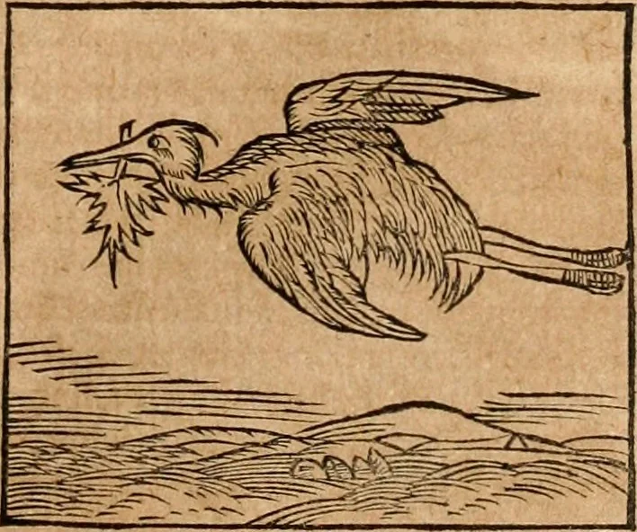 An illustration from Ioannis Pierii Valeriani Bellvnensis Hieroglyphica, sive, De sacris Ægyptiorvm aliarumq gentium literis commentariorum libri LVIII : cum duobus alijs ab eruditissimo viro annexis : accesserunt loco auctarij, Hieroglyphicorum collectanea, ex veteribus & recentioribus auctoribus descripta, & in sex libros digesta : Horapollinis item hieroglyphicorum libri duo, ex postrema Dauidis Hschelij correctione : prætereà eiusdem Pierij declamatiuncula pro barbis sacerdotum, & reliqua opuscula siue poemata omnia, 1614, leaf 268