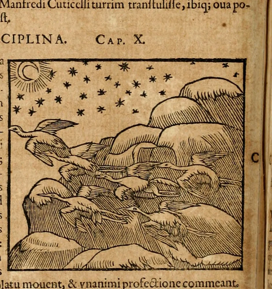An illustration from Ioannis Pierii Valeriani Bellvnensis Hieroglyphica, sive, De sacris Ægyptiorvm aliarumq gentium literis commentariorum libri LVIII : cum duobus alijs ab eruditissimo viro annexis : accesserunt loco auctarij, Hieroglyphicorum collectanea, ex veteribus & recentioribus auctoribus descripta, & in sex libros digesta : Horapollinis item hieroglyphicorum libri duo, ex postrema Dauidis Hschelij correctione : prætereà eiusdem Pierij declamatiuncula pro barbis sacerdotum, & reliqua opuscula siue poemata omnia, 1614, leaf 269