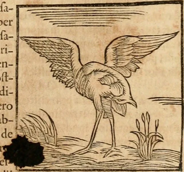 An illustration from Ioannis Pierii Valeriani Bellvnensis Hieroglyphica, sive, De sacris Ægyptiorvm aliarumq gentium literis commentariorum libri LVIII : cum duobus alijs ab eruditissimo viro annexis : accesserunt loco auctarij, Hieroglyphicorum collectanea, ex veteribus & recentioribus auctoribus descripta, & in sex libros digesta : Horapollinis item hieroglyphicorum libri duo, ex postrema Dauidis Hschelij correctione : prætereà eiusdem Pierij declamatiuncula pro barbis sacerdotum, & reliqua opuscula siue poemata omnia, 1614, leaf 272