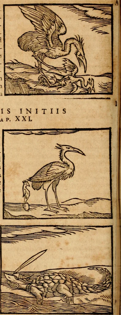 An illustration from Ioannis Pierii Valeriani Bellvnensis Hieroglyphica, sive, De sacris Ægyptiorvm aliarumq gentium literis commentariorum libri LVIII : cum duobus alijs ab eruditissimo viro annexis : accesserunt loco auctarij, Hieroglyphicorum collectanea, ex veteribus & recentioribus auctoribus descripta, & in sex libros digesta : Horapollinis item hieroglyphicorum libri duo, ex postrema Dauidis Hschelij correctione : prætereà eiusdem Pierij declamatiuncula pro barbis sacerdotum, & reliqua opuscula siue poemata omnia, 1614, leaf 273