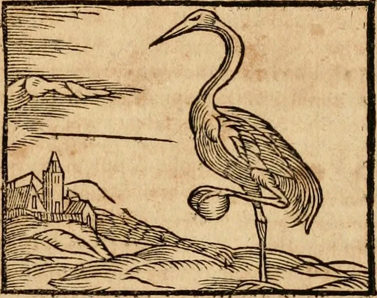 An illustration from Ioannis Pierii Valeriani Bellvnensis Hieroglyphica, sive, De sacris Ægyptiorvm aliarumq gentium literis commentariorum libri LVIII : cum duobus alijs ab eruditissimo viro annexis : accesserunt loco auctarij, Hieroglyphicorum collectanea, ex veteribus & recentioribus auctoribus descripta, & in sex libros digesta : Horapollinis item hieroglyphicorum libri duo, ex postrema Dauidis Hschelij correctione : prætereà eiusdem Pierij declamatiuncula pro barbis sacerdotum, & reliqua opuscula siue poemata omnia, 1614, leaf 274