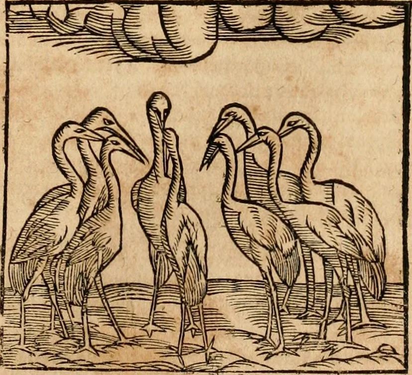 An illustration from Ioannis Pierii Valeriani Bellvnensis Hieroglyphica, sive, De sacris Ægyptiorvm aliarumq gentium literis commentariorum libri LVIII : cum duobus alijs ab eruditissimo viro annexis : accesserunt loco auctarij, Hieroglyphicorum collectanea, ex veteribus & recentioribus auctoribus descripta, & in sex libros digesta : Horapollinis item hieroglyphicorum libri duo, ex postrema Dauidis Hschelij correctione : prætereà eiusdem Pierij declamatiuncula pro barbis sacerdotum, & reliqua opuscula siue poemata omnia, 1614, leaf 274