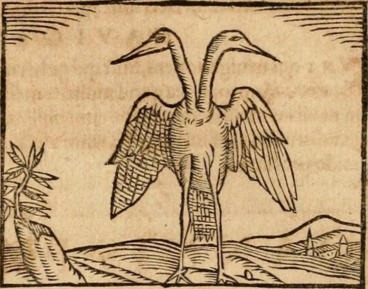 An illustration from Ioannis Pierii Valeriani Bellvnensis Hieroglyphica, sive, De sacris Ægyptiorvm aliarumq gentium literis commentariorum libri LVIII : cum duobus alijs ab eruditissimo viro annexis : accesserunt loco auctarij, Hieroglyphicorum collectanea, ex veteribus & recentioribus auctoribus descripta, & in sex libros digesta : Horapollinis item hieroglyphicorum libri duo, ex postrema Dauidis Hschelij correctione : prætereà eiusdem Pierij declamatiuncula pro barbis sacerdotum, & reliqua opuscula siue poemata omnia, 1614, leaf 276