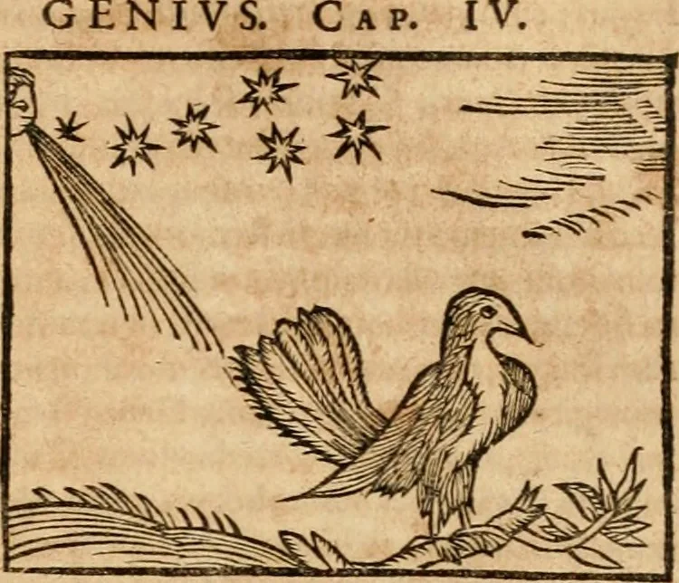 An illustration from Ioannis Pierii Valeriani Bellvnensis Hieroglyphica, sive, De sacris Ægyptiorvm aliarumq gentium literis commentariorum libri LVIII : cum duobus alijs ab eruditissimo viro annexis : accesserunt loco auctarij, Hieroglyphicorum collectanea, ex veteribus & recentioribus auctoribus descripta, & in sex libros digesta : Horapollinis item hieroglyphicorum libri duo, ex postrema Dauidis Hschelij correctione : prætereà eiusdem Pierij declamatiuncula pro barbis sacerdotum, & reliqua opuscula siue poemata omnia, 1614, leaf 280