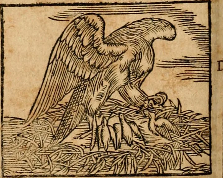 An illustration from Ioannis Pierii Valeriani Bellvnensis Hieroglyphica, sive, De sacris Ægyptiorvm aliarumq gentium literis commentariorum libri LVIII : cum duobus alijs ab eruditissimo viro annexis : accesserunt loco auctarij, Hieroglyphicorum collectanea, ex veteribus & recentioribus auctoribus descripta, & in sex libros digesta : Horapollinis item hieroglyphicorum libri duo, ex postrema Dauidis Hschelij correctione : prætereà eiusdem Pierij declamatiuncula pro barbis sacerdotum, & reliqua opuscula siue poemata omnia, 1614, leaf 281