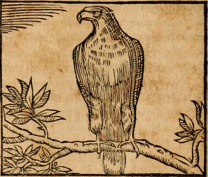 An illustration from Ioannis Pierii Valeriani Bellvnensis Hieroglyphica, sive, De sacris Ægyptiorvm aliarumq gentium literis commentariorum libri LVIII : cum duobus alijs ab eruditissimo viro annexis : accesserunt loco auctarij, Hieroglyphicorum collectanea, ex veteribus & recentioribus auctoribus descripta, & in sex libros digesta : Horapollinis item hieroglyphicorum libri duo, ex postrema Dauidis Hschelij correctione : prætereà eiusdem Pierij declamatiuncula pro barbis sacerdotum, & reliqua opuscula siue poemata omnia, 1614, leaf 287