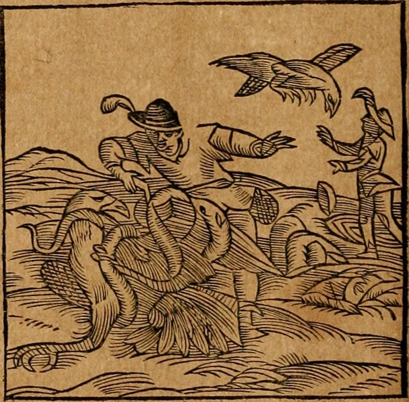 An illustration from Ioannis Pierii Valeriani Bellvnensis Hieroglyphica, sive, De sacris Ægyptiorvm aliarumq gentium literis commentariorum libri LVIII : cum duobus alijs ab eruditissimo viro annexis : accesserunt loco auctarij, Hieroglyphicorum collectanea, ex veteribus & recentioribus auctoribus descripta, & in sex libros digesta : Horapollinis item hieroglyphicorum libri duo, ex postrema Dauidis Hschelij correctione : prætereà eiusdem Pierij declamatiuncula pro barbis sacerdotum, & reliqua opuscula siue poemata omnia, 1614, leaf 293
