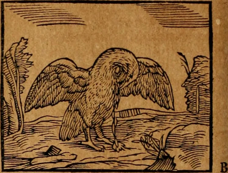 An illustration from Ioannis Pierii Valeriani Bellvnensis Hieroglyphica, sive, De sacris Ægyptiorvm aliarumq gentium literis commentariorum libri LVIII : cum duobus alijs ab eruditissimo viro annexis : accesserunt loco auctarij, Hieroglyphicorum collectanea, ex veteribus & recentioribus auctoribus descripta, & in sex libros digesta : Horapollinis item hieroglyphicorum libri duo, ex postrema Dauidis Hschelij correctione : prætereà eiusdem Pierij declamatiuncula pro barbis sacerdotum, & reliqua opuscula siue poemata omnia, 1614, leaf 301