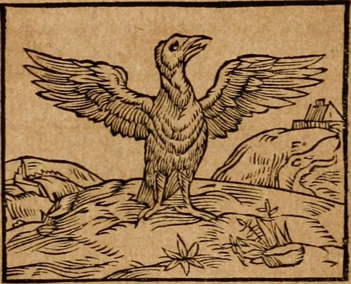 An illustration from Ioannis Pierii Valeriani Bellvnensis Hieroglyphica, sive, De sacris Ægyptiorvm aliarumq gentium literis commentariorum libri LVIII : cum duobus alijs ab eruditissimo viro annexis : accesserunt loco auctarij, Hieroglyphicorum collectanea, ex veteribus & recentioribus auctoribus descripta, & in sex libros digesta : Horapollinis item hieroglyphicorum libri duo, ex postrema Dauidis Hschelij correctione : prætereà eiusdem Pierij declamatiuncula pro barbis sacerdotum, & reliqua opuscula siue poemata omnia, 1614, leaf 302