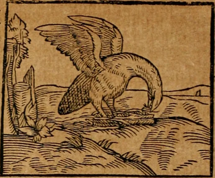 An illustration from Ioannis Pierii Valeriani Bellvnensis Hieroglyphica, sive, De sacris Ægyptiorvm aliarumq gentium literis commentariorum libri LVIII : cum duobus alijs ab eruditissimo viro annexis : accesserunt loco auctarij, Hieroglyphicorum collectanea, ex veteribus & recentioribus auctoribus descripta, & in sex libros digesta : Horapollinis item hieroglyphicorum libri duo, ex postrema Dauidis Hschelij correctione : prætereà eiusdem Pierij declamatiuncula pro barbis sacerdotum, & reliqua opuscula siue poemata omnia, 1614, leaf 303