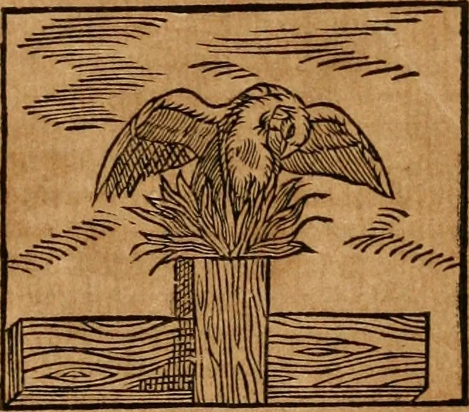 An illustration from Ioannis Pierii Valeriani Bellvnensis Hieroglyphica, sive, De sacris Ægyptiorvm aliarumq gentium literis commentariorum libri LVIII : cum duobus alijs ab eruditissimo viro annexis : accesserunt loco auctarij, Hieroglyphicorum collectanea, ex veteribus & recentioribus auctoribus descripta, & in sex libros digesta : Horapollinis item hieroglyphicorum libri duo, ex postrema Dauidis Hschelij correctione : prætereà eiusdem Pierij declamatiuncula pro barbis sacerdotum, & reliqua opuscula siue poemata omnia, 1614, leaf 304