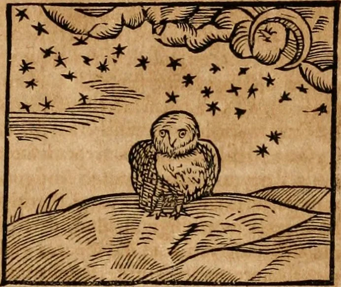 An illustration from Ioannis Pierii Valeriani Bellvnensis Hieroglyphica, sive, De sacris Ægyptiorvm aliarumq gentium literis commentariorum libri LVIII : cum duobus alijs ab eruditissimo viro annexis : accesserunt loco auctarij, Hieroglyphicorum collectanea, ex veteribus & recentioribus auctoribus descripta, & in sex libros digesta : Horapollinis item hieroglyphicorum libri duo, ex postrema Dauidis Hschelij correctione : prætereà eiusdem Pierij declamatiuncula pro barbis sacerdotum, & reliqua opuscula siue poemata omnia, 1614, leaf 308