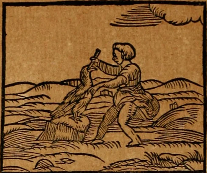 An illustration from Ioannis Pierii Valeriani Bellvnensis Hieroglyphica, sive, De sacris Ægyptiorvm aliarumq gentium literis commentariorum libri LVIII : cum duobus alijs ab eruditissimo viro annexis : accesserunt loco auctarij, Hieroglyphicorum collectanea, ex veteribus & recentioribus auctoribus descripta, & in sex libros digesta : Horapollinis item hieroglyphicorum libri duo, ex postrema Dauidis Hschelij correctione : prætereà eiusdem Pierij declamatiuncula pro barbis sacerdotum, & reliqua opuscula siue poemata omnia, 1614, leaf 311