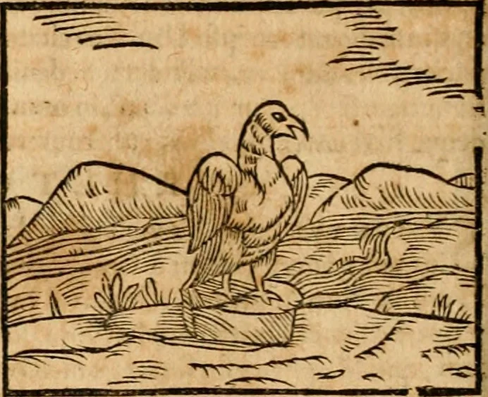 An illustration from Ioannis Pierii Valeriani Bellvnensis Hieroglyphica, sive, De sacris Ægyptiorvm aliarumq gentium literis commentariorum libri LVIII : cum duobus alijs ab eruditissimo viro annexis : accesserunt loco auctarij, Hieroglyphicorum collectanea, ex veteribus & recentioribus auctoribus descripta, & in sex libros digesta : Horapollinis item hieroglyphicorum libri duo, ex postrema Dauidis Hschelij correctione : prætereà eiusdem Pierij declamatiuncula pro barbis sacerdotum, & reliqua opuscula siue poemata omnia, 1614, leaf 345