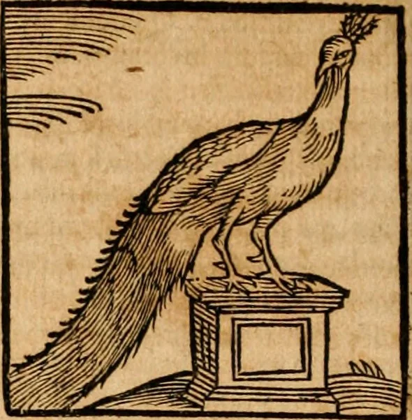 An illustration from Ioannis Pierii Valeriani Bellvnensis Hieroglyphica, sive, De sacris Ægyptiorvm aliarumq gentium literis commentariorum libri LVIII : cum duobus alijs ab eruditissimo viro annexis : accesserunt loco auctarij, Hieroglyphicorum collectanea, ex veteribus & recentioribus auctoribus descripta, & in sex libros digesta : Horapollinis item hieroglyphicorum libri duo, ex postrema Dauidis Hschelij correctione : prætereà eiusdem Pierij declamatiuncula pro barbis sacerdotum, & reliqua opuscula siue poemata omnia, 1614, leaf 347
