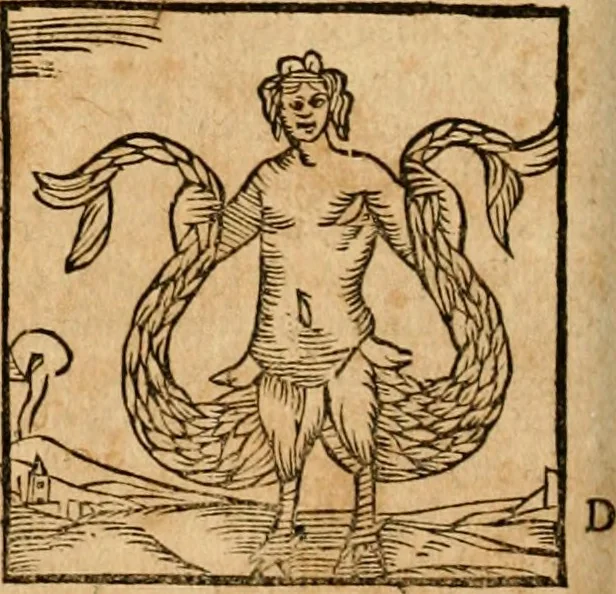 An illustration from Ioannis Pierii Valeriani Bellvnensis Hieroglyphica, sive, De sacris Ægyptiorvm aliarumq gentium literis commentariorum libri LVIII : cum duobus alijs ab eruditissimo viro annexis : accesserunt loco auctarij, Hieroglyphicorum collectanea, ex veteribus & recentioribus auctoribus descripta, & in sex libros digesta : Horapollinis item hieroglyphicorum libri duo, ex postrema Dauidis Hschelij correctione : prætereà eiusdem Pierij declamatiuncula pro barbis sacerdotum, & reliqua opuscula siue poemata omnia, 1614, leaf 349