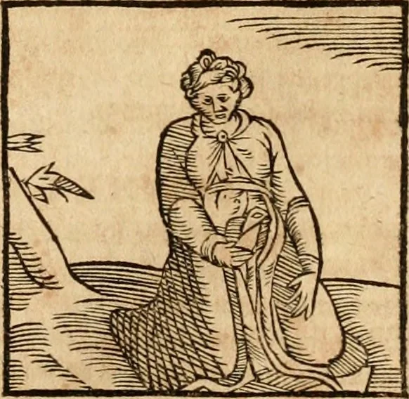 An illustration from Ioannis Pierii Valeriani Bellvnensis Hieroglyphica, sive, De sacris Ægyptiorvm aliarumq gentium literis commentariorum libri LVIII : cum duobus alijs ab eruditissimo viro annexis : accesserunt loco auctarij, Hieroglyphicorum collectanea, ex veteribus & recentioribus auctoribus descripta, & in sex libros digesta : Horapollinis item hieroglyphicorum libri duo, ex postrema Dauidis Hschelij correctione : prætereà eiusdem Pierij declamatiuncula pro barbis sacerdotum, & reliqua opuscula siue poemata omnia, 1614, leaf 350