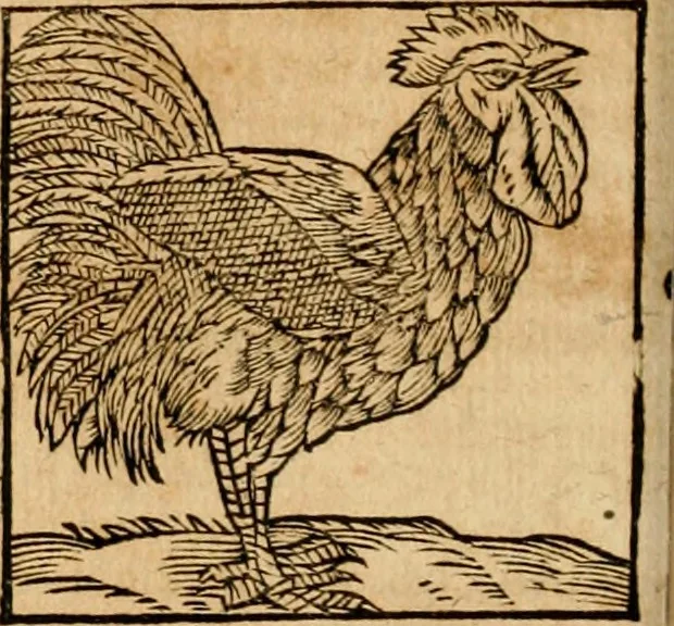 An illustration from Ioannis Pierii Valeriani Bellvnensis Hieroglyphica, sive, De sacris Ægyptiorvm aliarumq gentium literis commentariorum libri LVIII : cum duobus alijs ab eruditissimo viro annexis : accesserunt loco auctarij, Hieroglyphicorum collectanea, ex veteribus & recentioribus auctoribus descripta, & in sex libros digesta : Horapollinis item hieroglyphicorum libri duo, ex postrema Dauidis Hschelij correctione : prætereà eiusdem Pierij declamatiuncula pro barbis sacerdotum, & reliqua opuscula siue poemata omnia, 1614, leaf 351