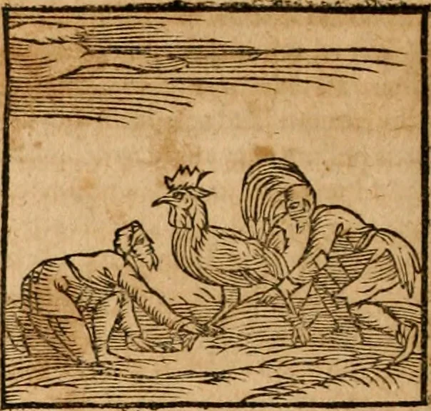 An illustration from Ioannis Pierii Valeriani Bellvnensis Hieroglyphica, sive, De sacris Ægyptiorvm aliarumq gentium literis commentariorum libri LVIII : cum duobus alijs ab eruditissimo viro annexis : accesserunt loco auctarij, Hieroglyphicorum collectanea, ex veteribus & recentioribus auctoribus descripta, & in sex libros digesta : Horapollinis item hieroglyphicorum libri duo, ex postrema Dauidis Hschelij correctione : prætereà eiusdem Pierij declamatiuncula pro barbis sacerdotum, & reliqua opuscula siue poemata omnia, 1614, leaf 353