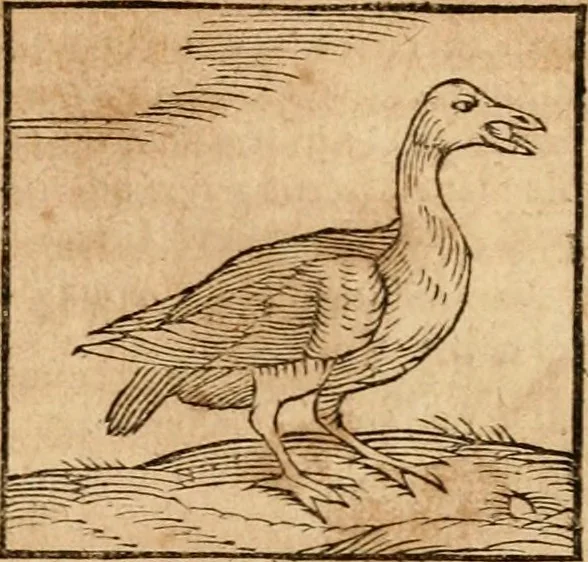 An illustration from Ioannis Pierii Valeriani Bellvnensis Hieroglyphica, sive, De sacris Ægyptiorvm aliarumq gentium literis commentariorum libri LVIII : cum duobus alijs ab eruditissimo viro annexis : accesserunt loco auctarij, Hieroglyphicorum collectanea, ex veteribus & recentioribus auctoribus descripta, & in sex libros digesta : Horapollinis item hieroglyphicorum libri duo, ex postrema Dauidis Hschelij correctione : prætereà eiusdem Pierij declamatiuncula pro barbis sacerdotum, & reliqua opuscula siue poemata omnia, 1614, leaf 354