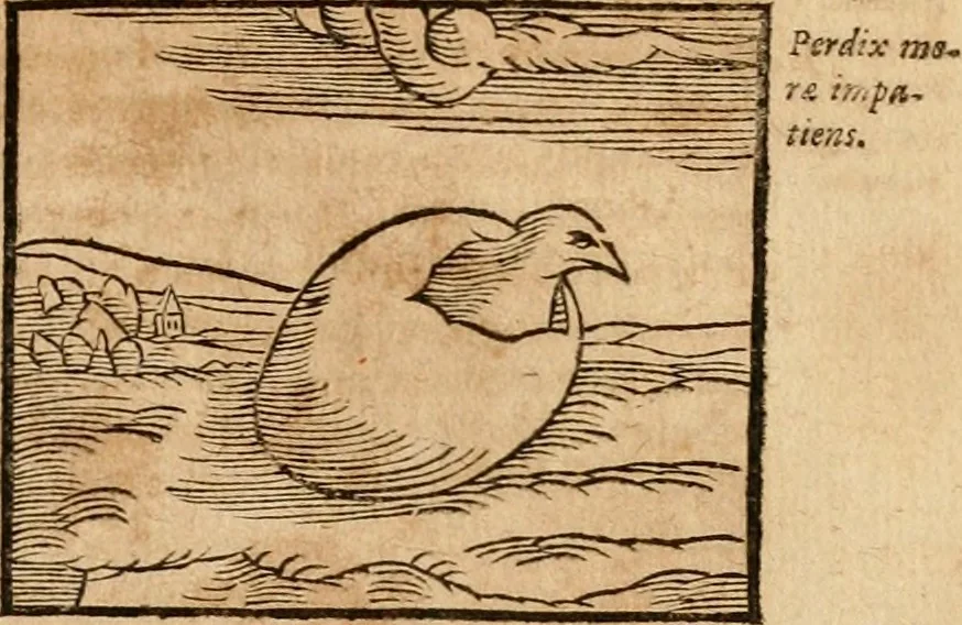 An illustration from Ioannis Pierii Valeriani Bellvnensis Hieroglyphica, sive, De sacris Ægyptiorvm aliarumq gentium literis commentariorum libri LVIII : cum duobus alijs ab eruditissimo viro annexis : accesserunt loco auctarij, Hieroglyphicorum collectanea, ex veteribus & recentioribus auctoribus descripta, & in sex libros digesta : Horapollinis item hieroglyphicorum libri duo, ex postrema Dauidis Hschelij correctione : prætereà eiusdem Pierij declamatiuncula pro barbis sacerdotum, & reliqua opuscula siue poemata omnia, 1614, leaf 356