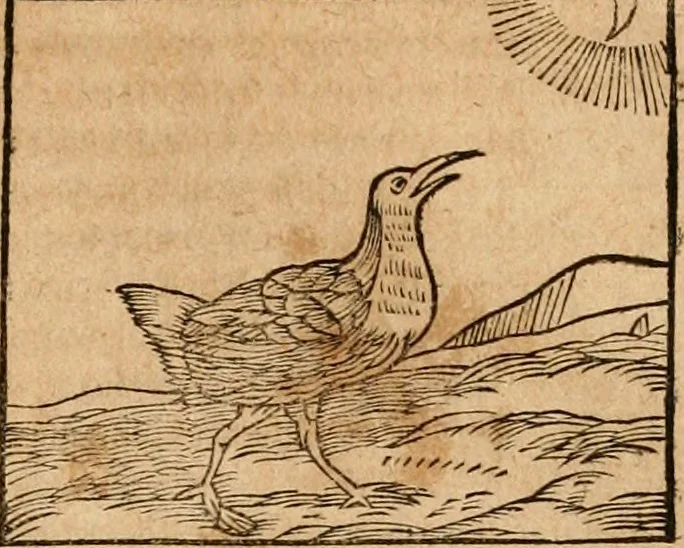 An illustration from Ioannis Pierii Valeriani Bellvnensis Hieroglyphica, sive, De sacris Ægyptiorvm aliarumq gentium literis commentariorum libri LVIII : cum duobus alijs ab eruditissimo viro annexis : accesserunt loco auctarij, Hieroglyphicorum collectanea, ex veteribus & recentioribus auctoribus descripta, & in sex libros digesta : Horapollinis item hieroglyphicorum libri duo, ex postrema Dauidis Hschelij correctione : prætereà eiusdem Pierij declamatiuncula pro barbis sacerdotum, & reliqua opuscula siue poemata omnia, 1614, leaf 358