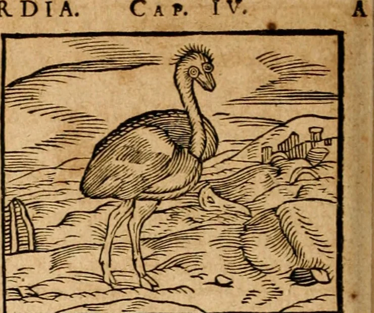 An illustration from Ioannis Pierii Valeriani Bellvnensis Hieroglyphica, sive, De sacris Ægyptiorvm aliarumq gentium literis commentariorum libri LVIII : cum duobus alijs ab eruditissimo viro annexis : accesserunt loco auctarij, Hieroglyphicorum collectanea, ex veteribus & recentioribus auctoribus descripta, & in sex libros digesta : Horapollinis item hieroglyphicorum libri duo, ex postrema Dauidis Hschelij correctione : prætereà eiusdem Pierij declamatiuncula pro barbis sacerdotum, & reliqua opuscula siue poemata omnia, 1614, leaf 361