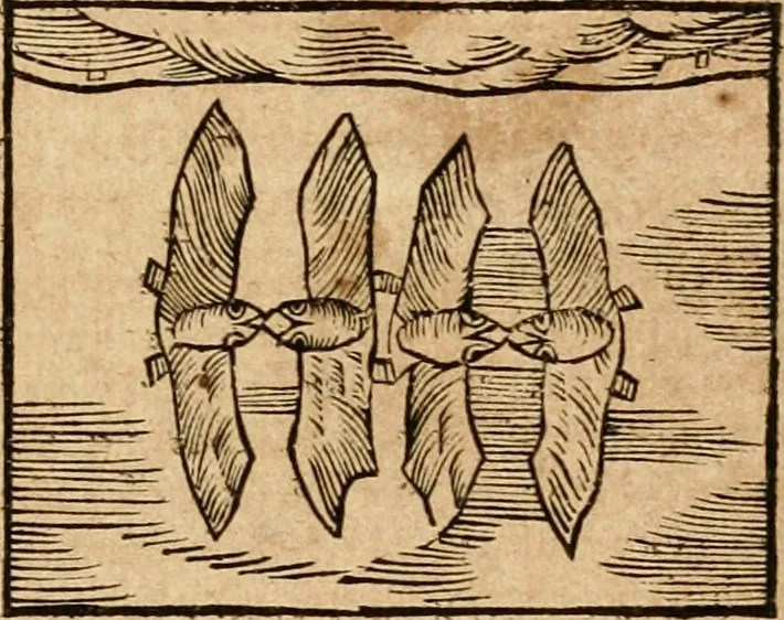 An illustration from Ioannis Pierii Valeriani Bellvnensis Hieroglyphica, sive, De sacris Ægyptiorvm aliarumq gentium literis commentariorum libri LVIII : cum duobus alijs ab eruditissimo viro annexis : accesserunt loco auctarij, Hieroglyphicorum collectanea, ex veteribus & recentioribus auctoribus descripta, & in sex libros digesta : Horapollinis item hieroglyphicorum libri duo, ex postrema Dauidis Hschelij correctione : prætereà eiusdem Pierij declamatiuncula pro barbis sacerdotum, & reliqua opuscula siue poemata omnia, 1614, leaf 362