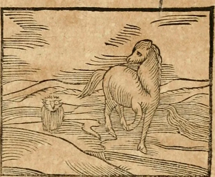An illustration from Ioannis Pierii Valeriani Bellvnensis Hieroglyphica, sive, De sacris Ægyptiorvm aliarumq gentium literis commentariorum libri LVIII : cum duobus alijs ab eruditissimo viro annexis : accesserunt loco auctarij, Hieroglyphicorum collectanea, ex veteribus & recentioribus auctoribus descripta, & in sex libros digesta : Horapollinis item hieroglyphicorum libri duo, ex postrema Dauidis Hschelij correctione : prætereà eiusdem Pierij declamatiuncula pro barbis sacerdotum, & reliqua opuscula siue poemata omnia, 1614, leaf 364