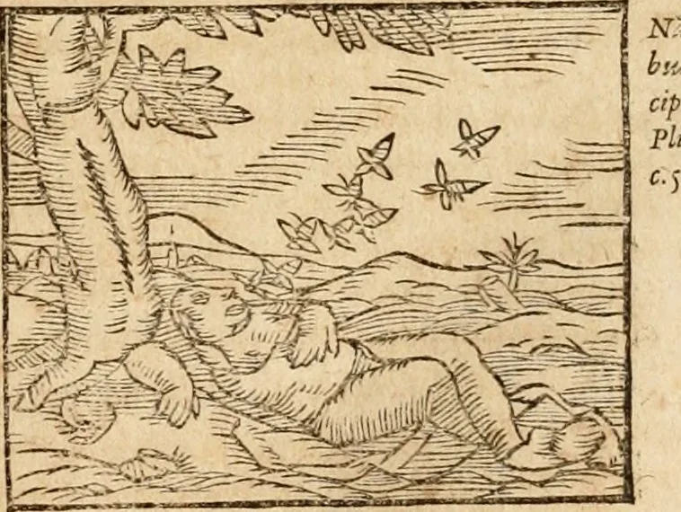 An illustration from Ioannis Pierii Valeriani Bellvnensis Hieroglyphica, sive, De sacris Ægyptiorvm aliarumq gentium literis commentariorum libri LVIII : cum duobus alijs ab eruditissimo viro annexis : accesserunt loco auctarij, Hieroglyphicorum collectanea, ex veteribus & recentioribus auctoribus descripta, & in sex libros digesta : Horapollinis item hieroglyphicorum libri duo, ex postrema Dauidis Hschelij correctione : prætereà eiusdem Pierij declamatiuncula pro barbis sacerdotum, & reliqua opuscula siue poemata omnia, 1614, leaf 374