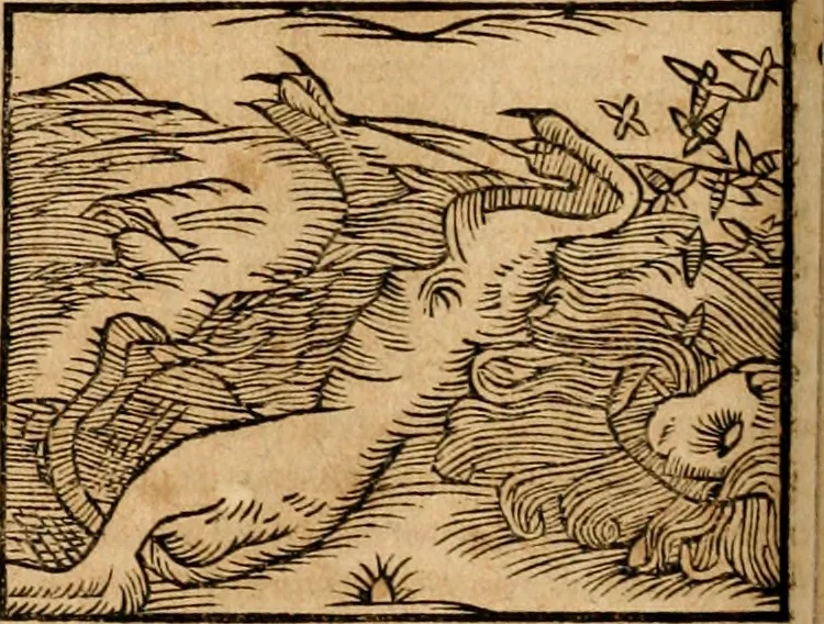 An illustration from Ioannis Pierii Valeriani Bellvnensis Hieroglyphica, sive, De sacris Ægyptiorvm aliarumq gentium literis commentariorum libri LVIII : cum duobus alijs ab eruditissimo viro annexis : accesserunt loco auctarij, Hieroglyphicorum collectanea, ex veteribus & recentioribus auctoribus descripta, & in sex libros digesta : Horapollinis item hieroglyphicorum libri duo, ex postrema Dauidis Hschelij correctione : prætereà eiusdem Pierij declamatiuncula pro barbis sacerdotum, & reliqua opuscula siue poemata omnia, 1614, leaf 377