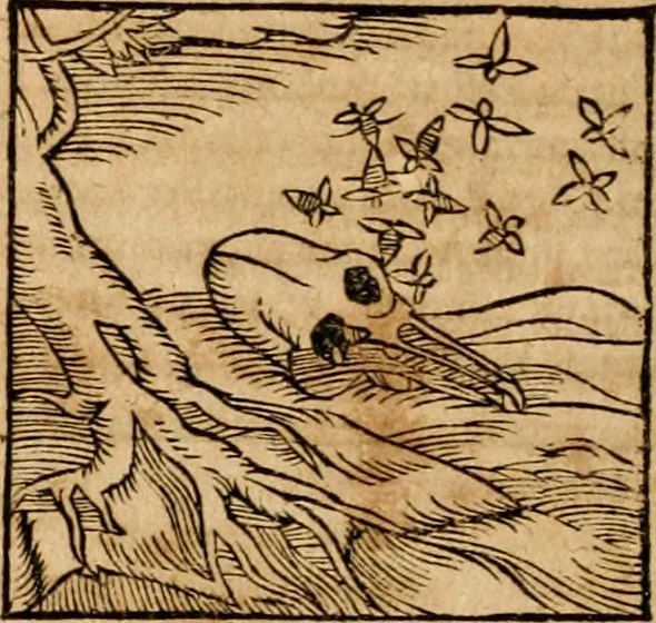 An illustration from Ioannis Pierii Valeriani Bellvnensis Hieroglyphica, sive, De sacris Ægyptiorvm aliarumq gentium literis commentariorum libri LVIII : cum duobus alijs ab eruditissimo viro annexis : accesserunt loco auctarij, Hieroglyphicorum collectanea, ex veteribus & recentioribus auctoribus descripta, & in sex libros digesta : Horapollinis item hieroglyphicorum libri duo, ex postrema Dauidis Hschelij correctione : prætereà eiusdem Pierij declamatiuncula pro barbis sacerdotum, & reliqua opuscula siue poemata omnia, 1614, leaf 381