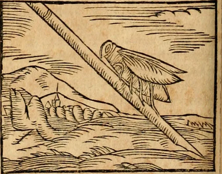 An illustration from Ioannis Pierii Valeriani Bellvnensis Hieroglyphica, sive, De sacris Ægyptiorvm aliarumq gentium literis commentariorum libri LVIII : cum duobus alijs ab eruditissimo viro annexis : accesserunt loco auctarij, Hieroglyphicorum collectanea, ex veteribus & recentioribus auctoribus descripta, & in sex libros digesta : Horapollinis item hieroglyphicorum libri duo, ex postrema Dauidis Hschelij correctione : prætereà eiusdem Pierij declamatiuncula pro barbis sacerdotum, & reliqua opuscula siue poemata omnia, 1614, leaf 385